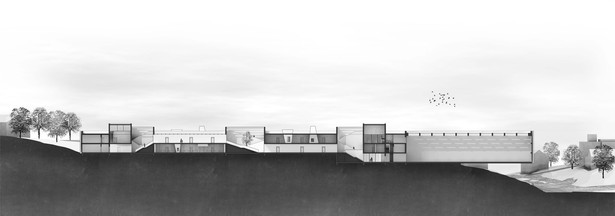 section
