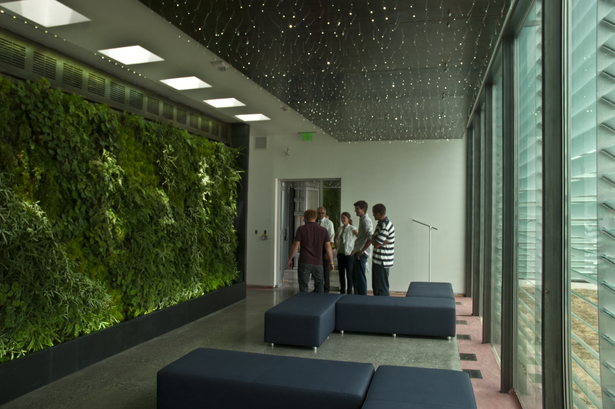 Interior Lobby Continuous Green Wall 
