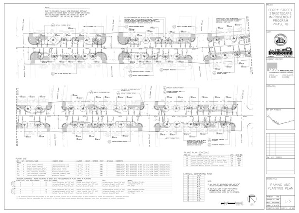 Paving & Planting Plan