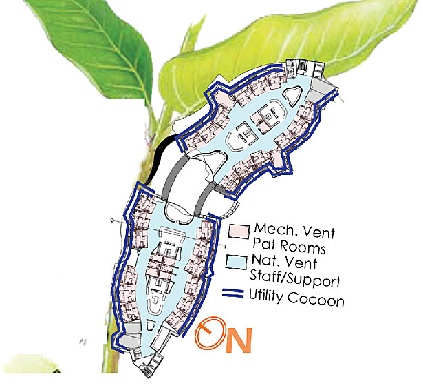Overall Plan
