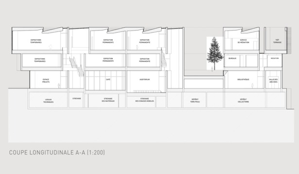 longitudinal section