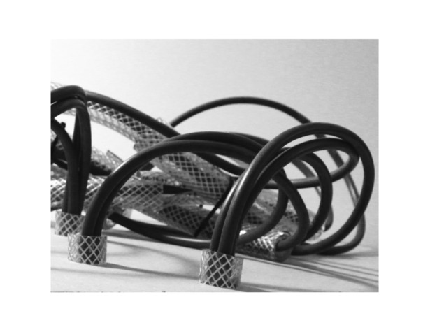 Study Model