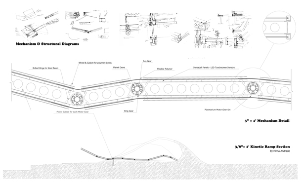 Structural kinetic study