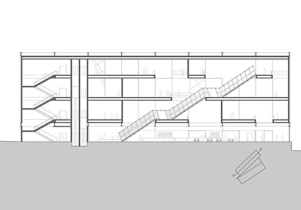 Longitudinal Section