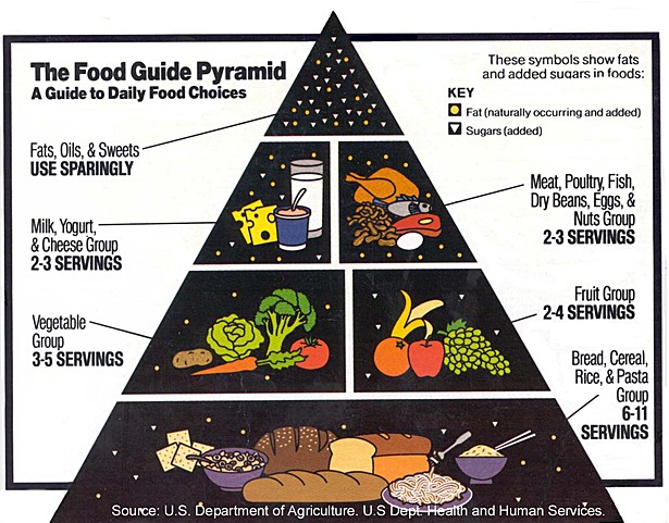 The Food Pyramid - healthier / more essential foods toward bottom
