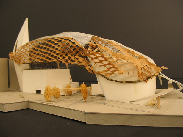 Study model 5
