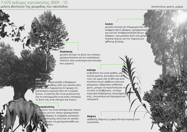Flora Types and Characteristics