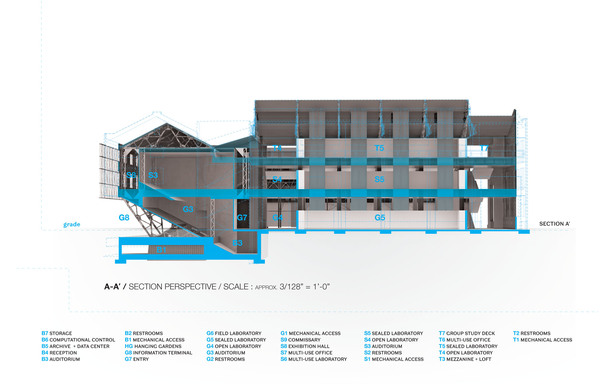 ::Longitudinal Section::