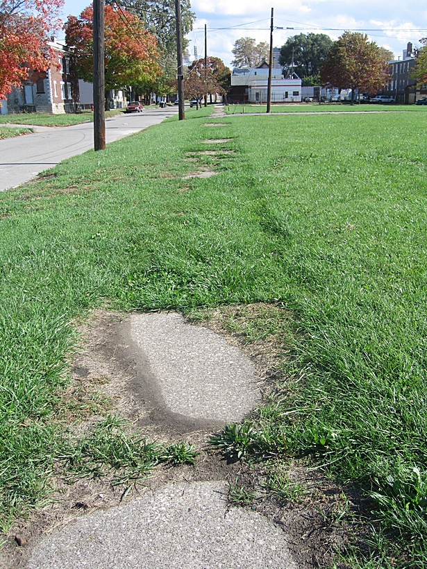 Over grown and broken sidewalks of Corktown 