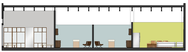 Longitudinal Section.