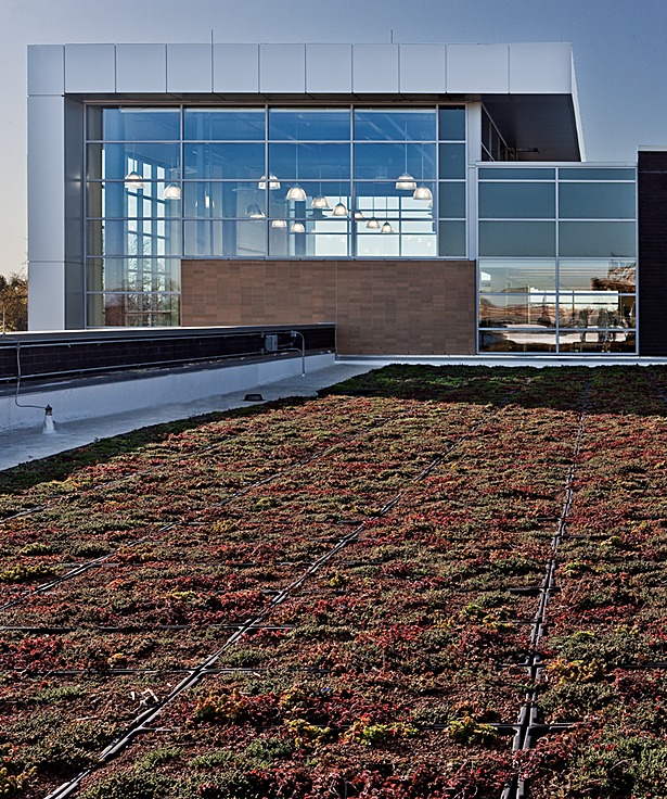 Green Roof
