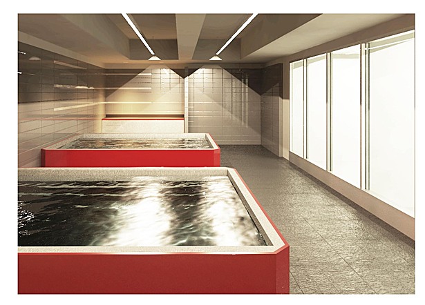 Rendering of Hydro-therapy. image © Molzen Corbin