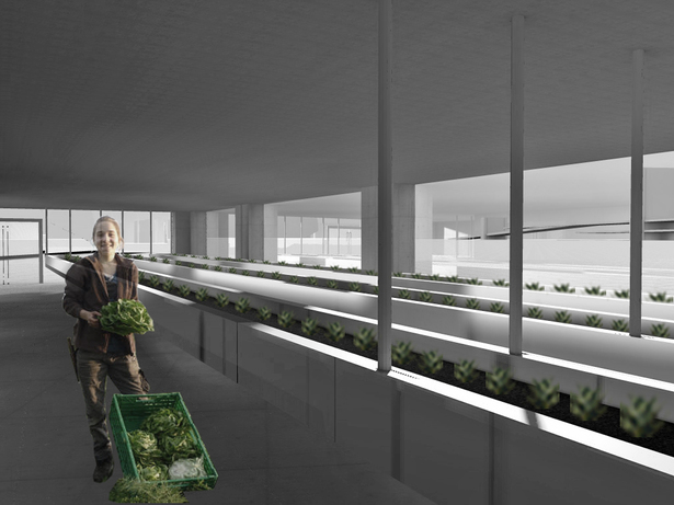 Greenhouse in the Vertical Gardens