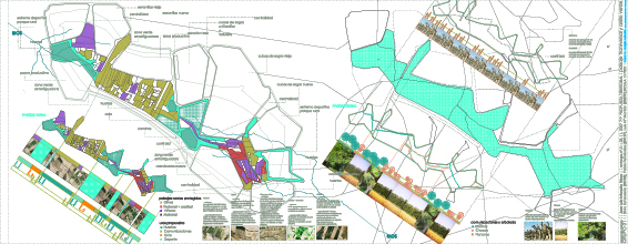 Urban Planing. Madrid