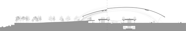 Site Section