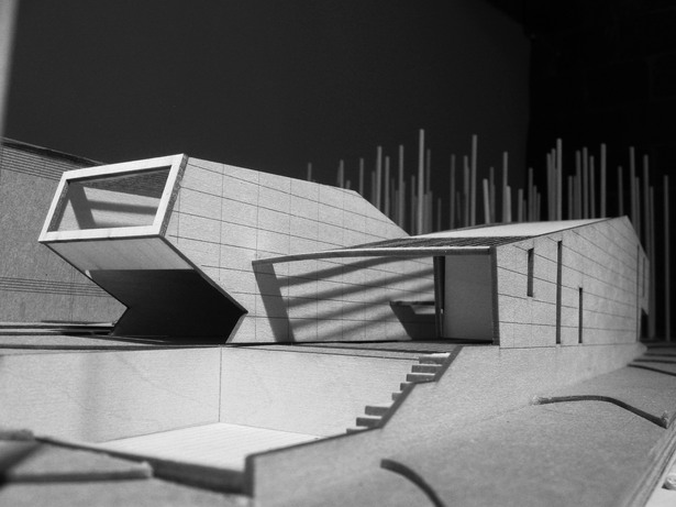 final model + back view