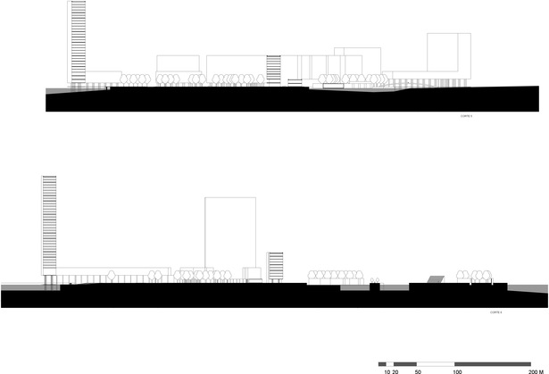 Sections 5 and 6