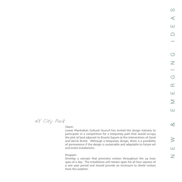 Program & Client Description
