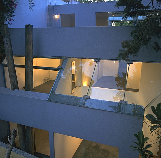 Between the trees. Back elevation.