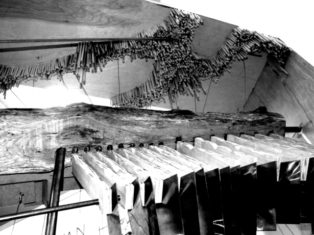 Site Model 