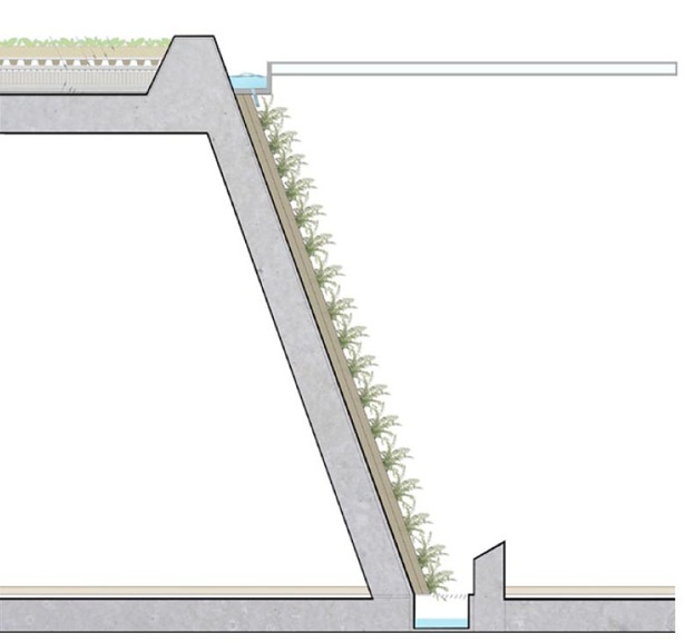 Section by Cassandra Straub-Collaborative Design with Jason Merkel and Thais Catron