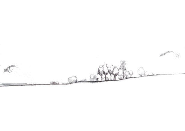 Section Sketch