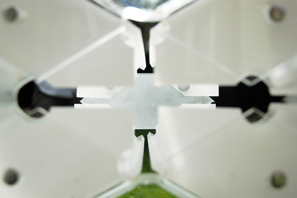 Aperture Cells Joint - Lalima Chemjong, Bo Liu, Michael Gonzales, Kimberly V.K.H. Nguyen