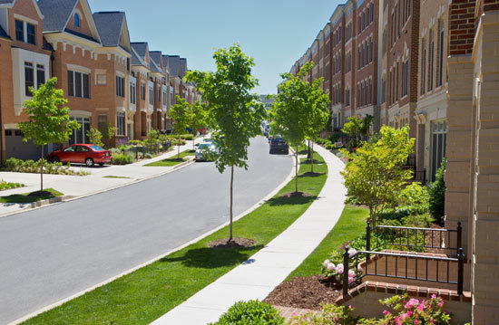 Community View
