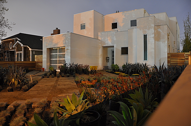 Front Yard