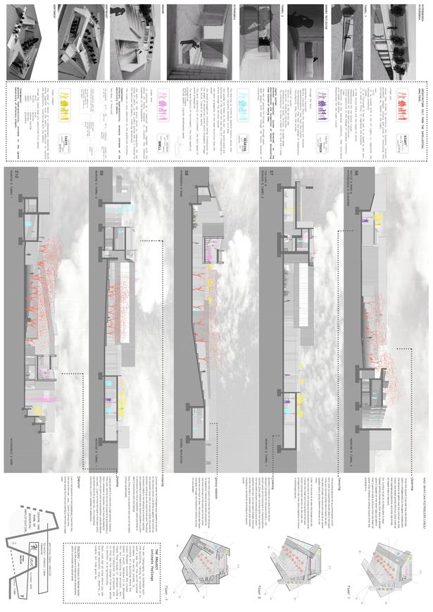 sections