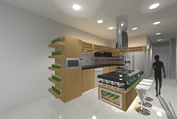 KITCHEN STUDY