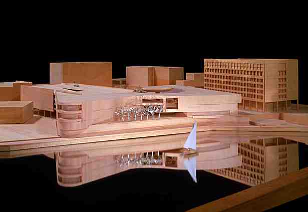 Competition Model