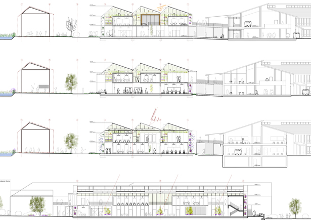 sections