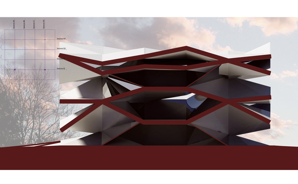 3D section