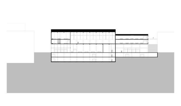 Longitudinal Section