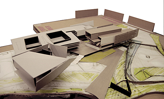 Study model