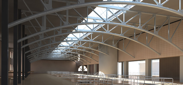 A study of the Existing Structure of the Historic Schlitz Building
