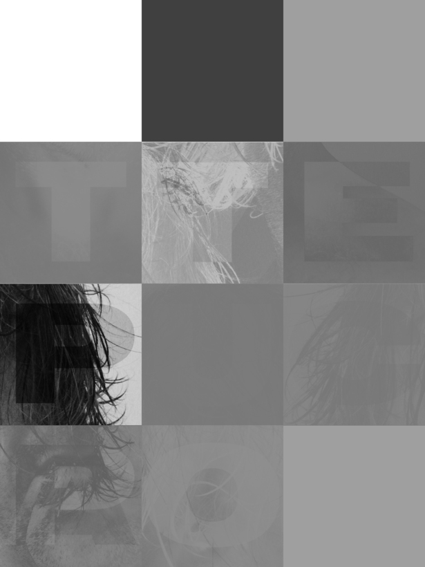 Final Image