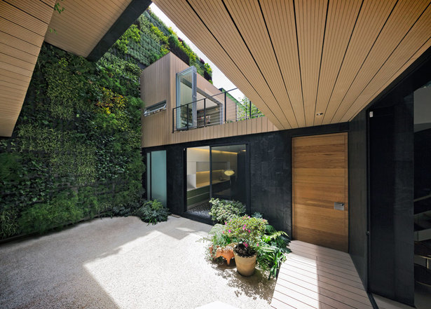 Patio View and vertical garden. Photo Hector Armando Herrera.