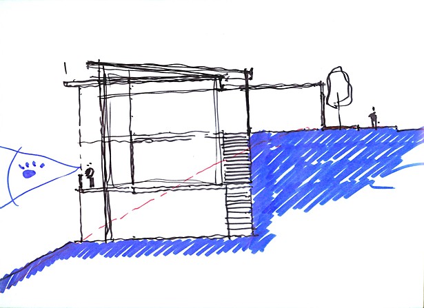 Conceptual section