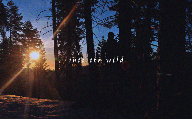 into the wild