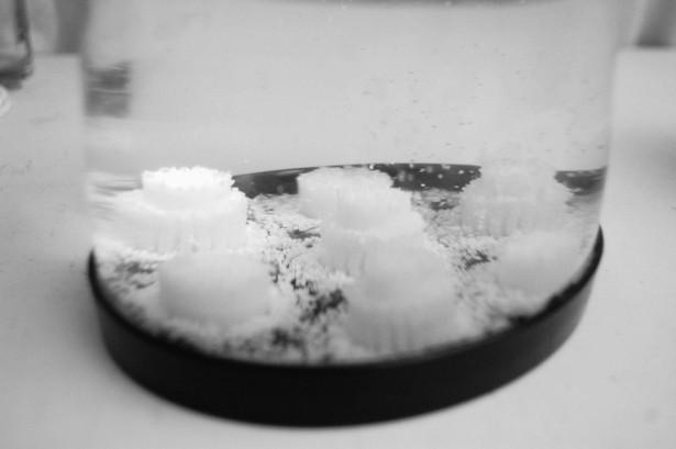 King Camp Gillette's 1894 utopian proposal, in a snowglobe. More information here: http://albertchao.com/Metropolis