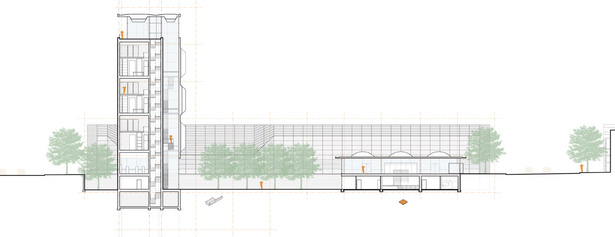 Longitudinal Section - A dialogue with Saarinen