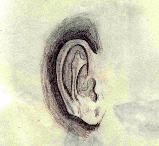 Quick Ear Sketch