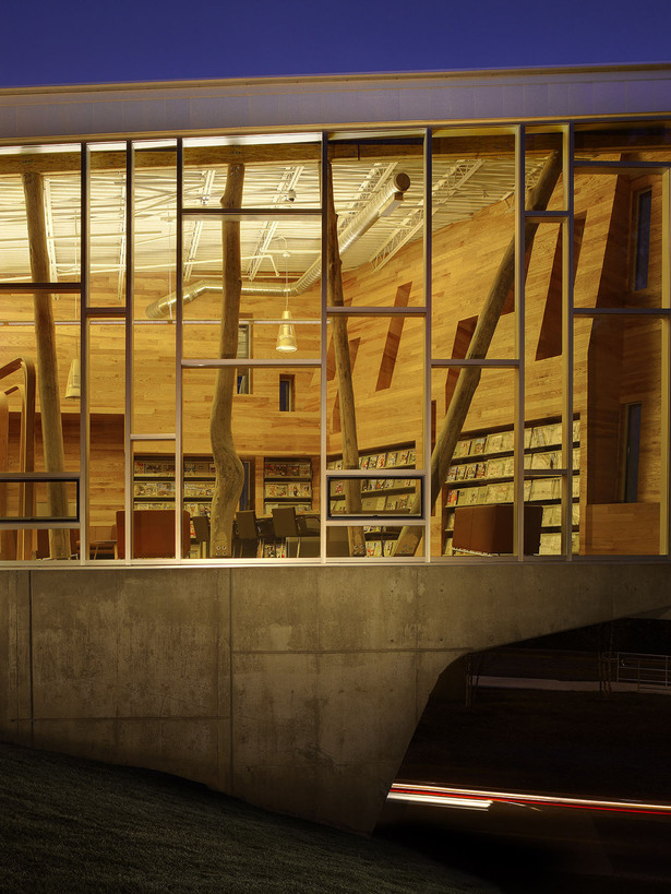 Ann Arbor District Library - Traverwood Branch (Image: inForm Studio)