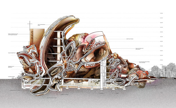 Longitudinal section