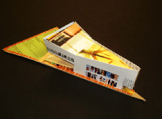 Study Model