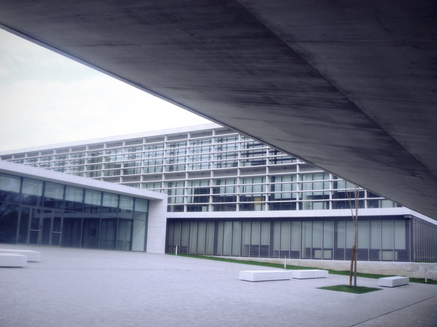 Faculty of Medicine University of Porto