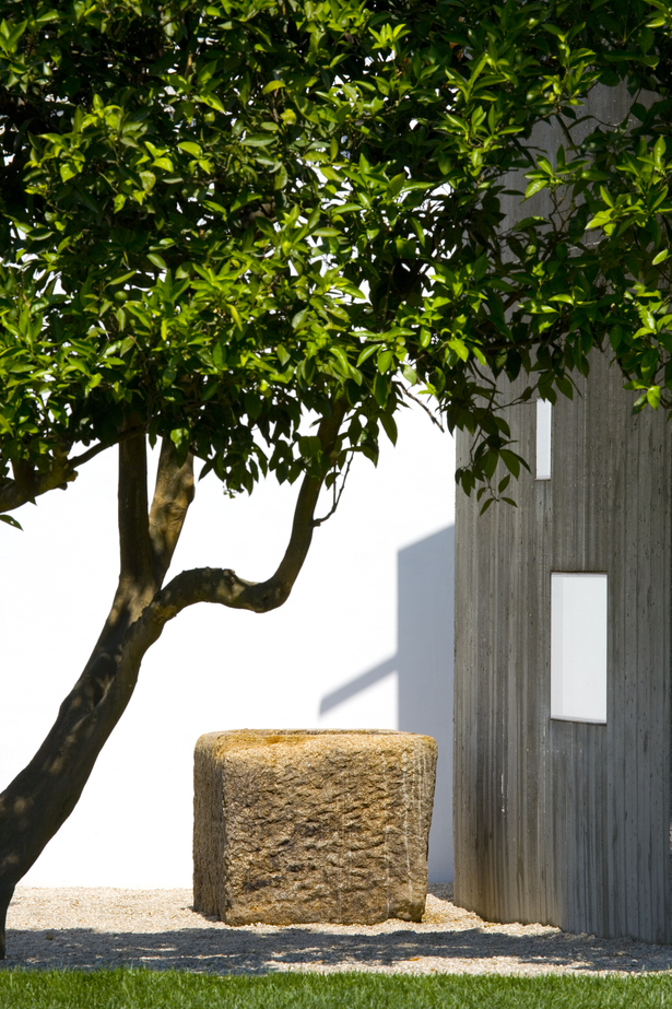 Building Fernando Guerra Photo