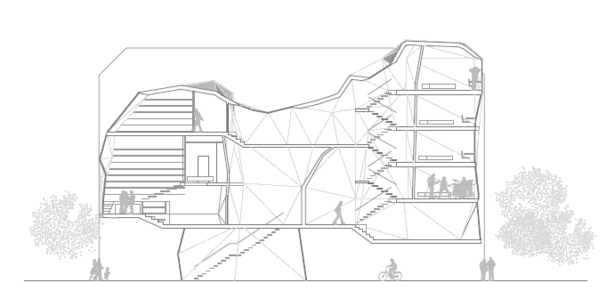 Longitudinal Section
